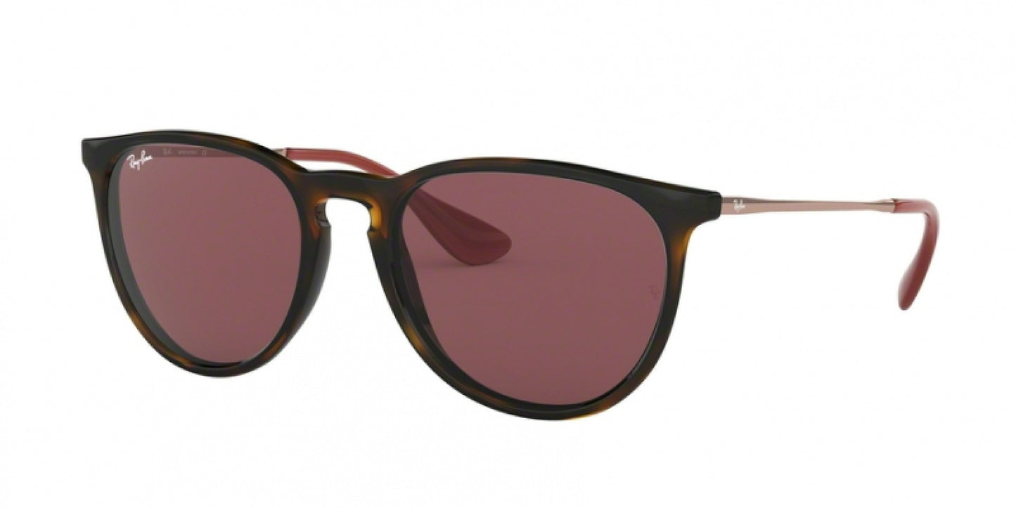 RAYBAN RB4171S 6391/75 Erika