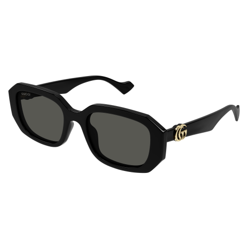 GG1535S 001 54
