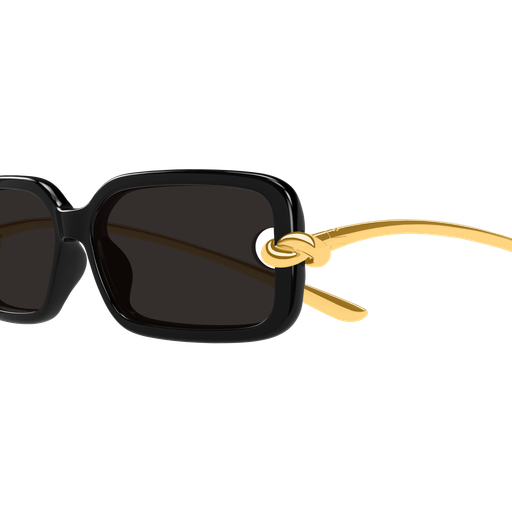 BV1439S 001 56