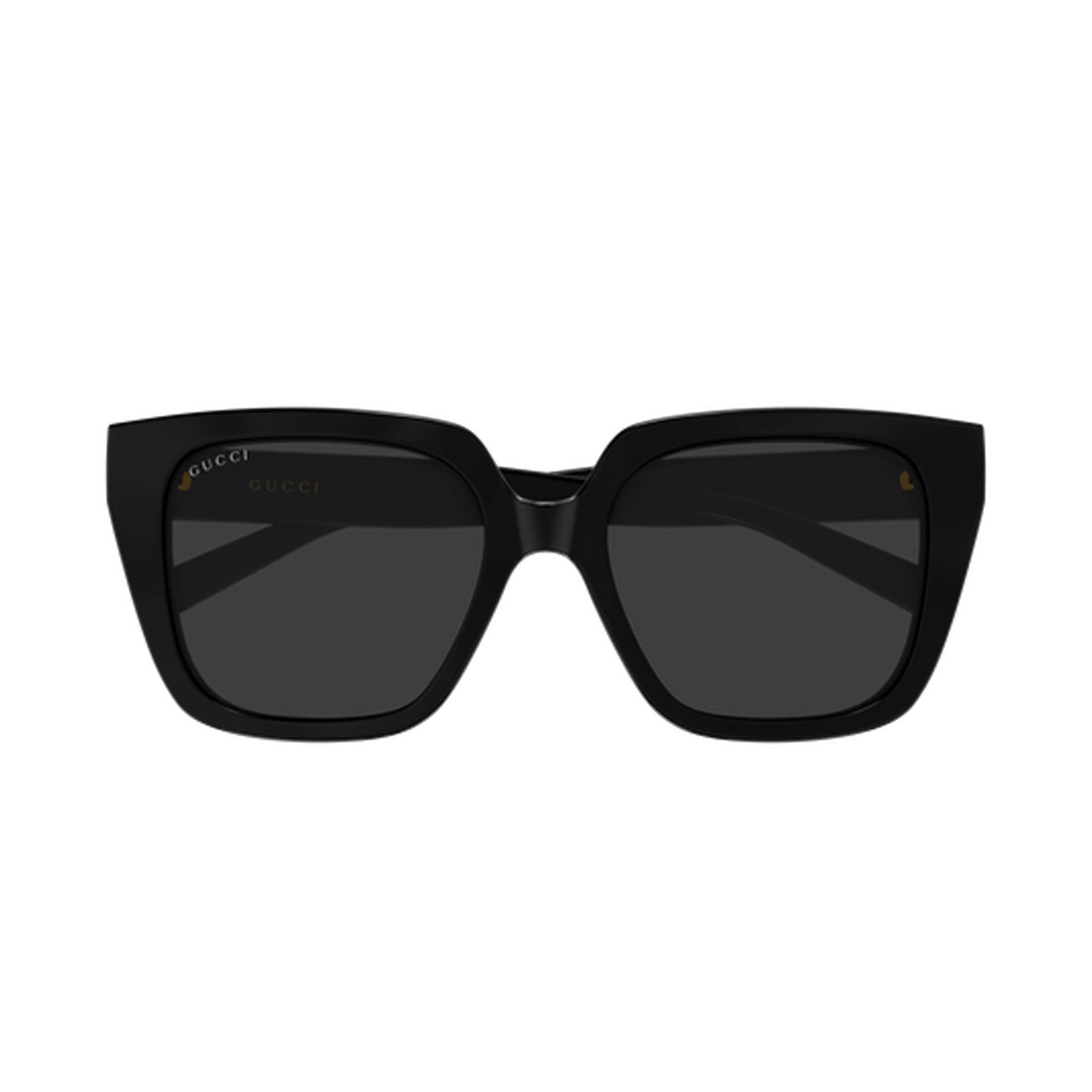 GG2102S 001 54