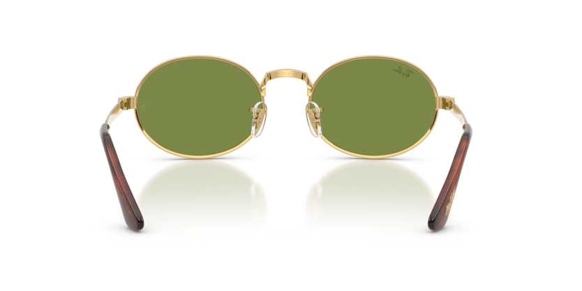 Ray-Ban 0RB3931 001/4E sunglasses — Rear view