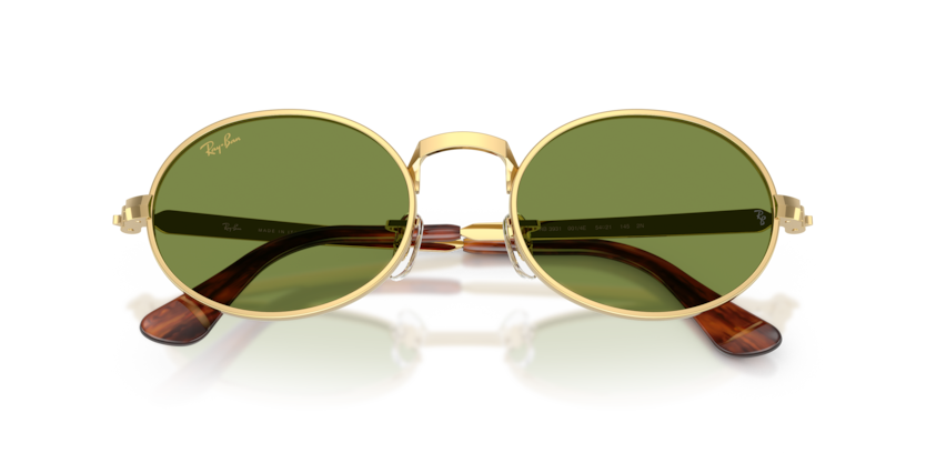 Ray-Ban 0RB3931 001/4E sunglasses — Front detail