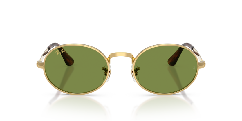 Ray-Ban 0RB3931 001/4E sunglasses — Front view