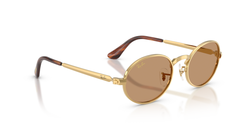 Ray-Ban 0RB3931 001/53 sunglasses — Alternate view