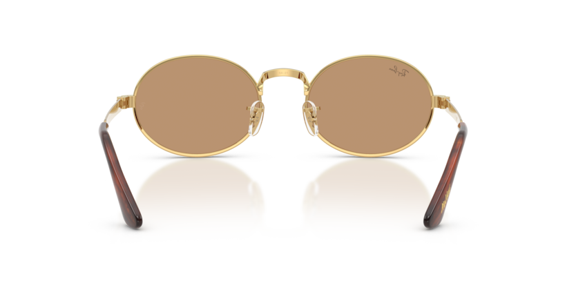 Ray-Ban 0RB3931 001/53 sunglasses — Rear view