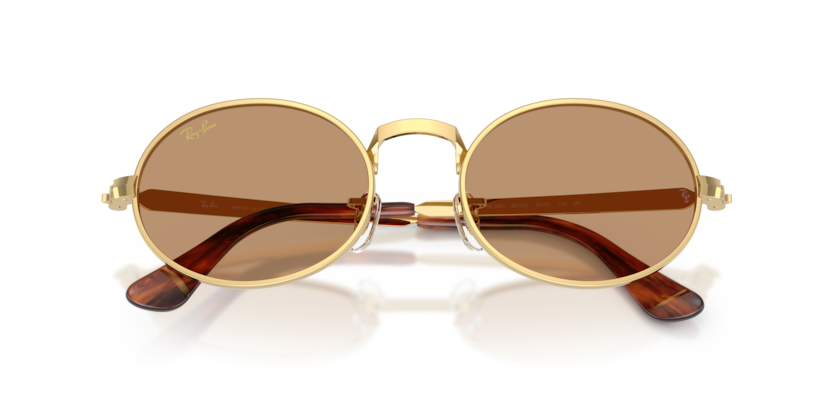 Ray-Ban 0RB3931 001/53 sunglasses — Front detail