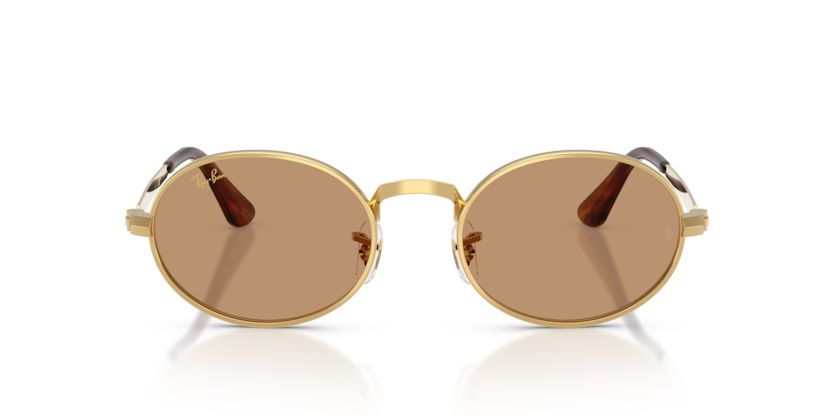 Ray-Ban 0RB3931 001/53 sunglasses — Front view