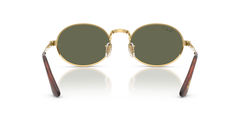 Ray-Ban 0RB3931 001/58 sunglasses — Rear view