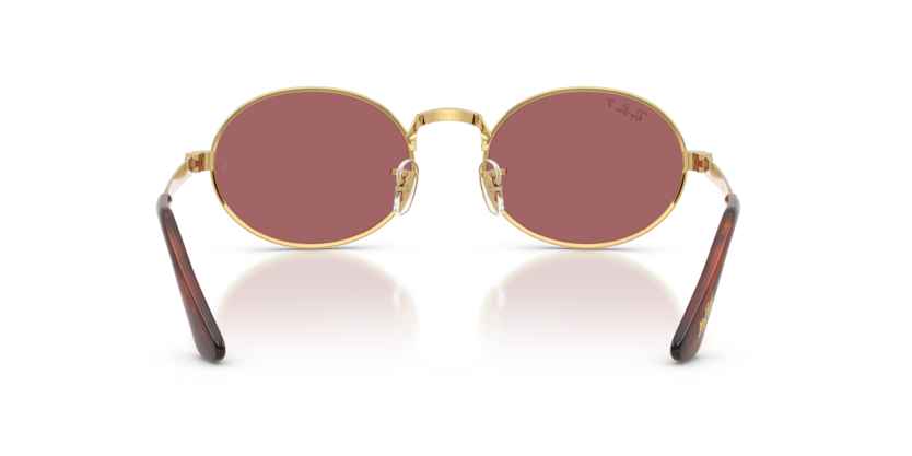 Ray-Ban 0RB3931 001/AF sunglasses — Rear view