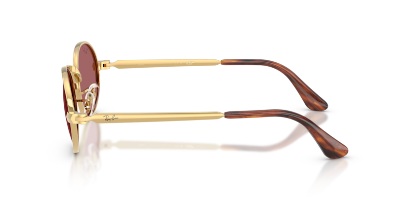 Ray-Ban 0RB3931 001/AF sunglasses — Side view